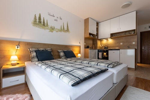 Pirin Sense Modern Studio/SPA/Free parking/Lobby