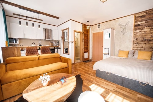 On Ski track Studio/Ski in&out/ Spa / Free parking