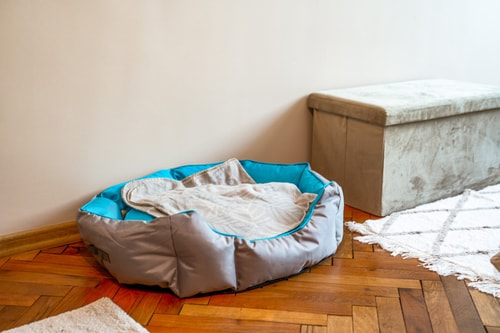 Big 2 Bedrooms Apartment / super cozy 11 Host2u