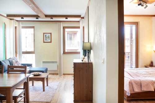 Cozy Apartment / Free Parking / Ski Shuttle