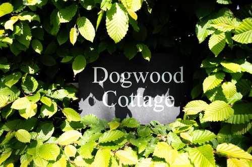 Dogwood Cottage, Subourne 11 Stay in Suffolk