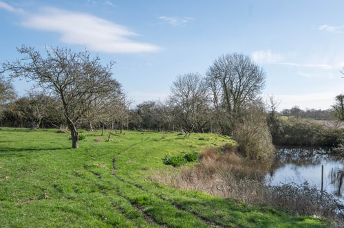 Yew Tree Cottage, Cretingham 45 Stay in Suffolk
