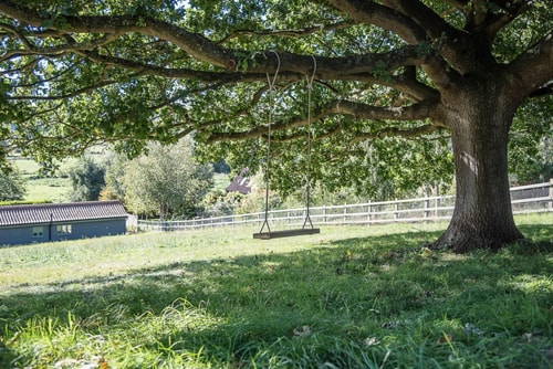 Hill Stables, Ufford 18 Stay in Suffolk
