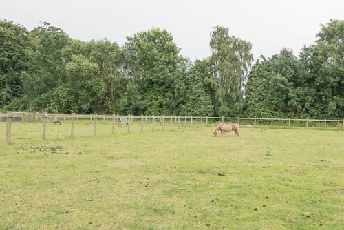 Grove Farm Bungalow with Swimming Pool, Dallinghoo 19 Stay in Suffolk