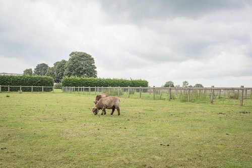 Grove Farm Bungalow with Swimming Pool, Dallinghoo 20 Stay in Suffolk