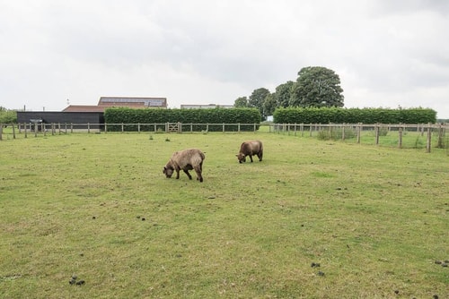 Grove Farm Bungalow with Swimming Pool, Dallinghoo 21 Stay in Suffolk