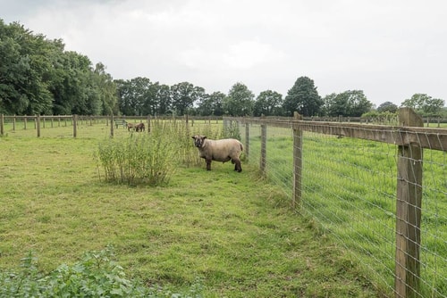 Grove Farm Bungalow with Swimming Pool, Dallinghoo 22 Stay in Suffolk