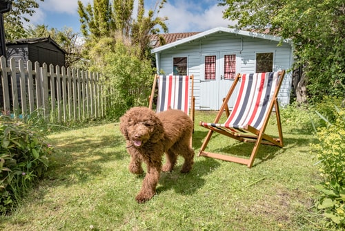 Sea House, Walberswick 38 Stay in Suffolk