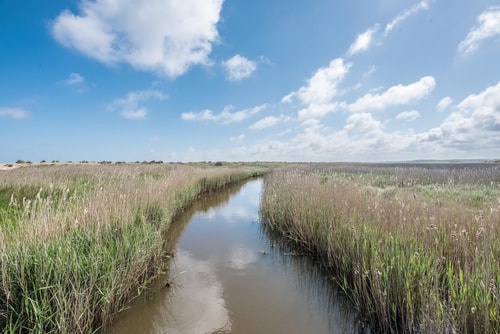 Sea House, Walberswick 41 Stay in Suffolk