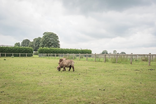 Grove Farm Bungalow and Annexe, Dallinghoo 60 Stay in Suffolk