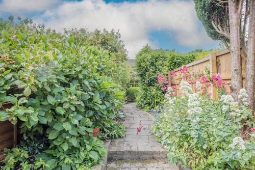 Angel Cottage, Wenhaston. Nr Southwold & Minsmere 16 Stay in Suffolk