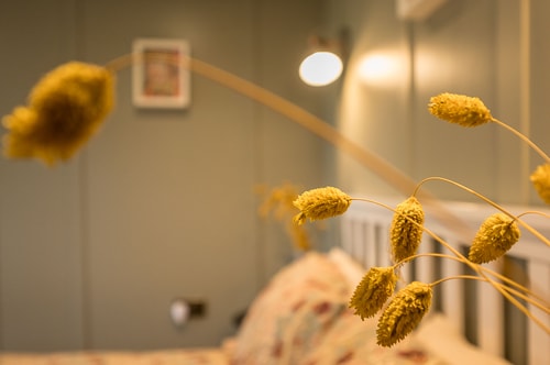 Blossom Lodge, Toad Hall, Wangford 22 Stay in Suffolk