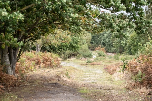 Mount Pleasant Farm, Dunwich 17 Stay in Suffolk