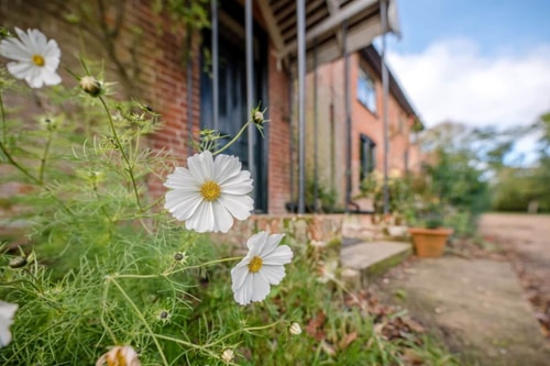 Red House Farm, East Green near Saxmundham 38 Stay in Suffolk