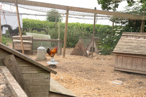 The Annexe at Keats Farmhouse, Bury St Edmunds 48 Stay in Suffolk
