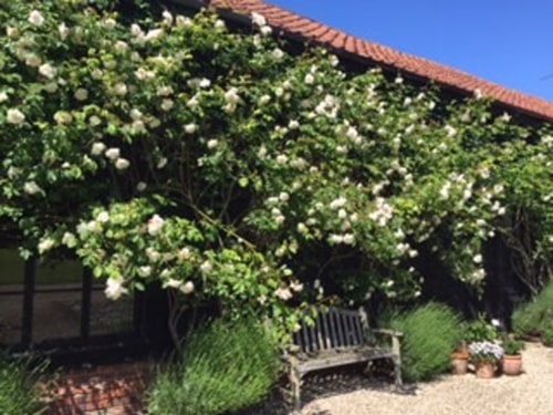 Hayloft, Clopton - apartment with a Tennis Court 23 Stay in Suffolk