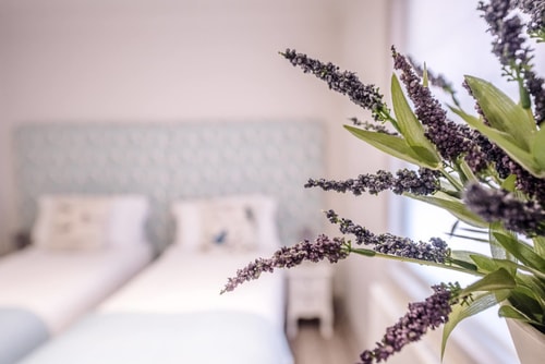 Saxon Lodge Cottage, Felixstowe 18 Stay in Suffolk