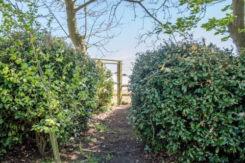 The Loose Box, Sudbourne 26 Stay in Suffolk