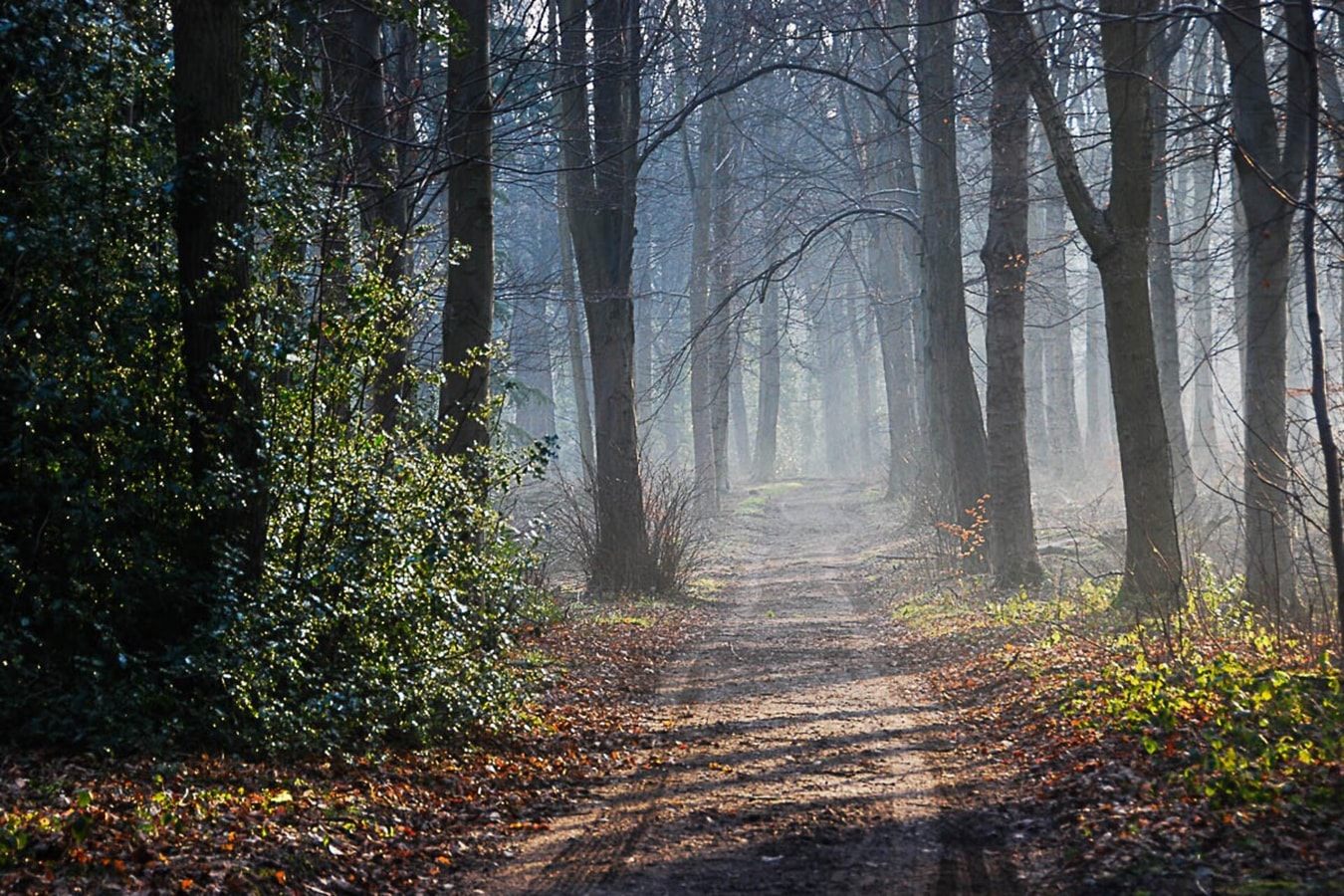 NEW Super 2BD Flat near Dalkeith Town Centre 11 Hello Guest