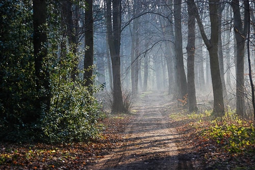 NEW Super 2BD Flat near Dalkeith Town Centre 11 Hello Guest