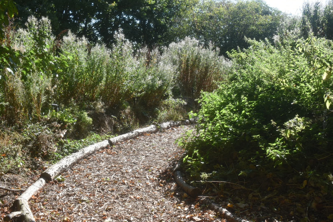 Swallow Cottage, Howdales 23 Hello Guest