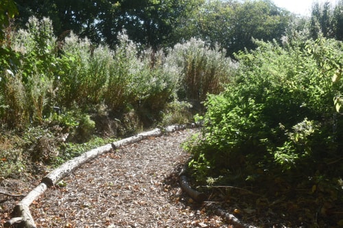 Swallow Cottage, Howdales 23 Hello Guest