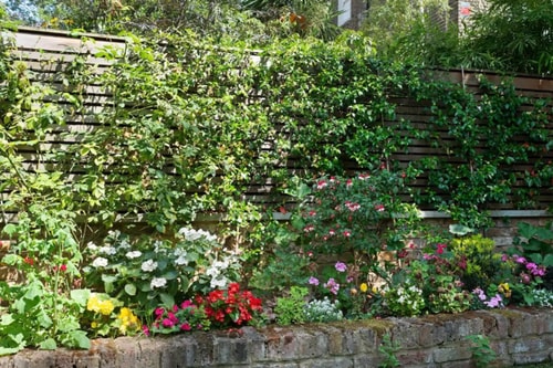 Beautiful 2-Bed Notting Hill Apt with Garden 18 Hello Guest