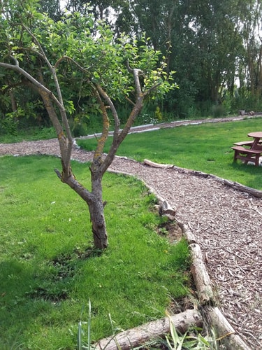 Kingfisher Luxury Tent, Howdales 1 Hello Guest