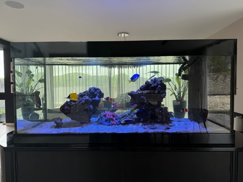 Cooden Beach: 4BD Retreat with Cinema 7 Hello Guest