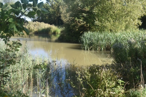 Swallow Cottage, Howdales 21 Hello Guest