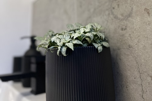 Cosy 1BD Getaway Perfect for Couples Stamford 6 Hello Guest