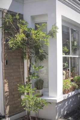 The Rose Terrace - 2BD Home Kentish Town