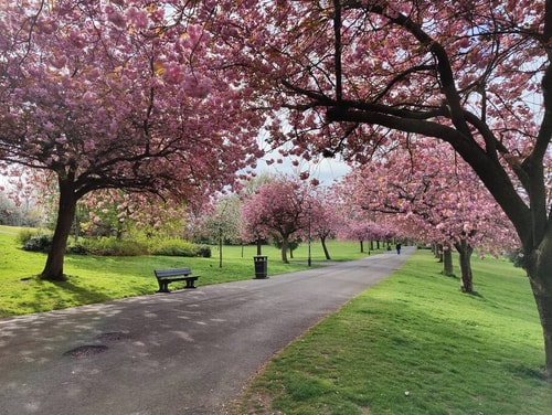 Fabulous 2BD Maisonette Dunfermline, Fife 19 Hello Guest