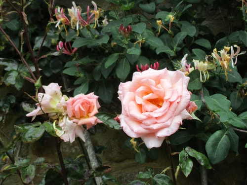 Wonderful Picturesque Countryside Cottage 7 Hello Guest