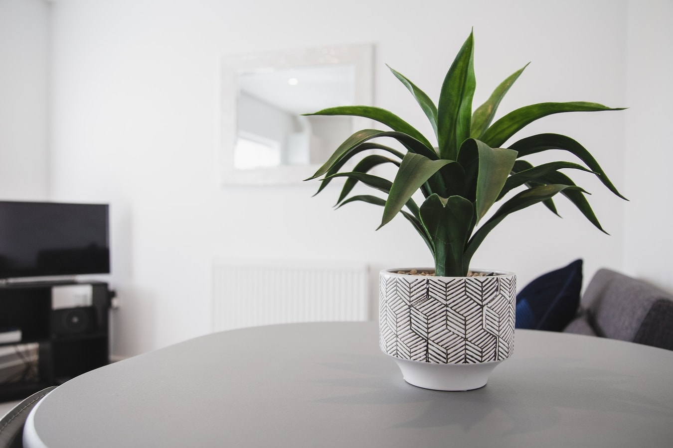 NEW 2BD Pontac Flat in the Heart of Didcot 5 Hello Guest