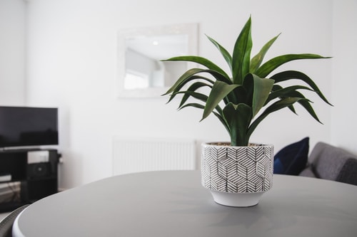 NEW 2BD Pontac Flat in the Heart of Didcot 5 Hello Guest