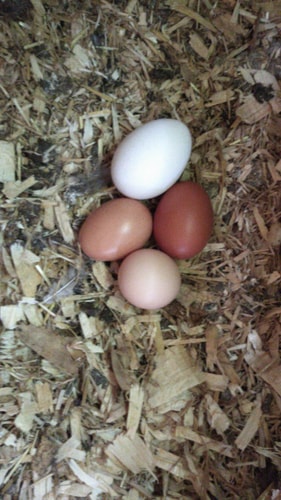 Delightful 4BD Home full of Flair Edenbridge Kent 27 Hello Guest