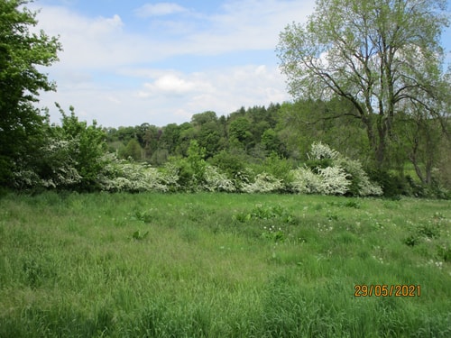 Wonderful Picturesque Countryside Cottage 10 Hello Guest