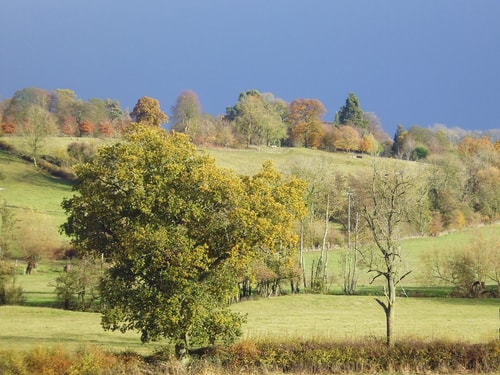 Wonderful Picturesque Countryside Cottage 12 Hello Guest