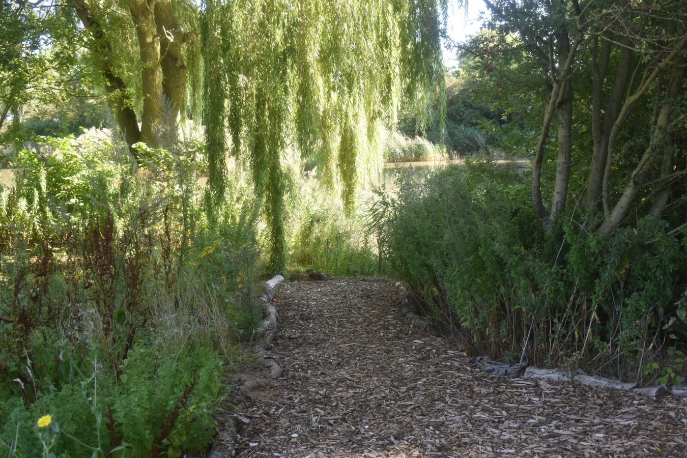 Swallow Cottage, Howdales 18 Hello Guest