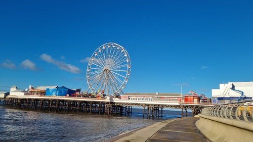 1BD Winter Garden Gem Close To The Beach 17 Hello Guest