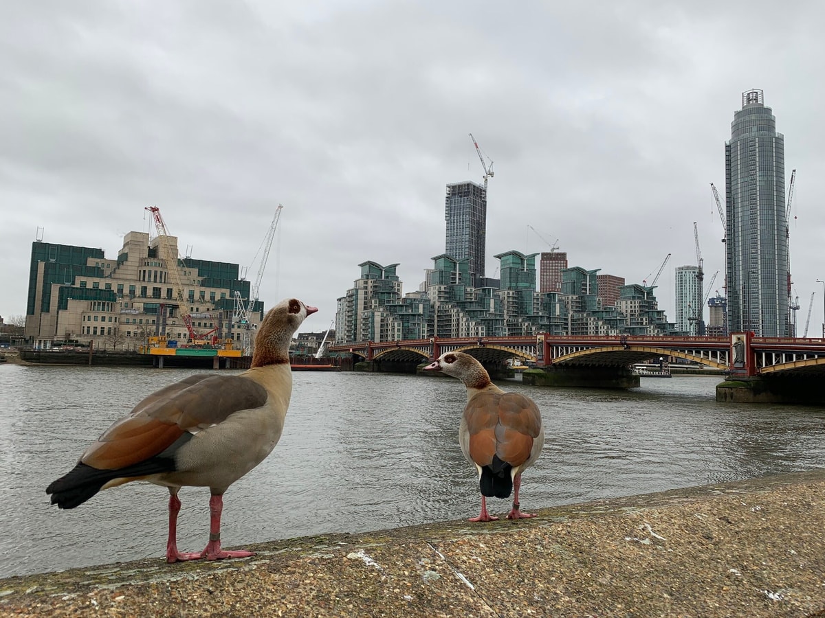 Luxury modern 2BD flat in centre 8 Hello Guest