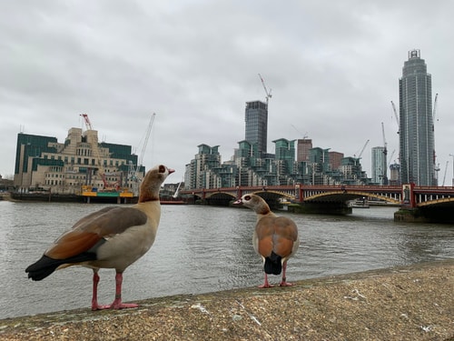 Luxury modern 2BD flat in centre 8 Hello Guest