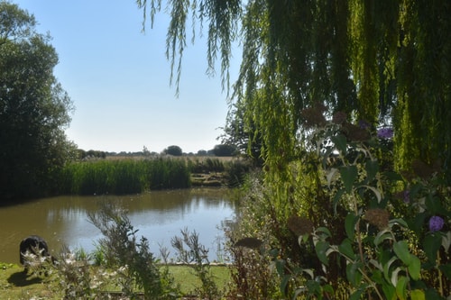 Swallow Cottage, Howdales 16 Hello Guest