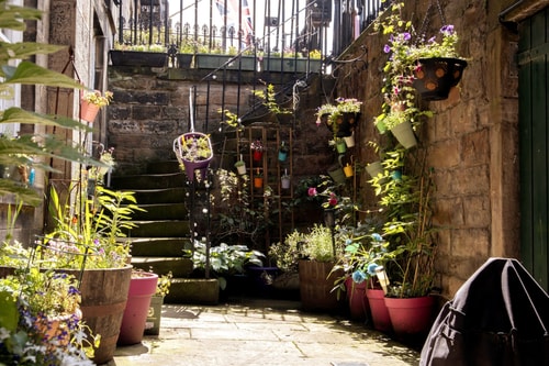 Elegant & Sunny 2BD basement stay, Edinburgh! 3 Hello Guest