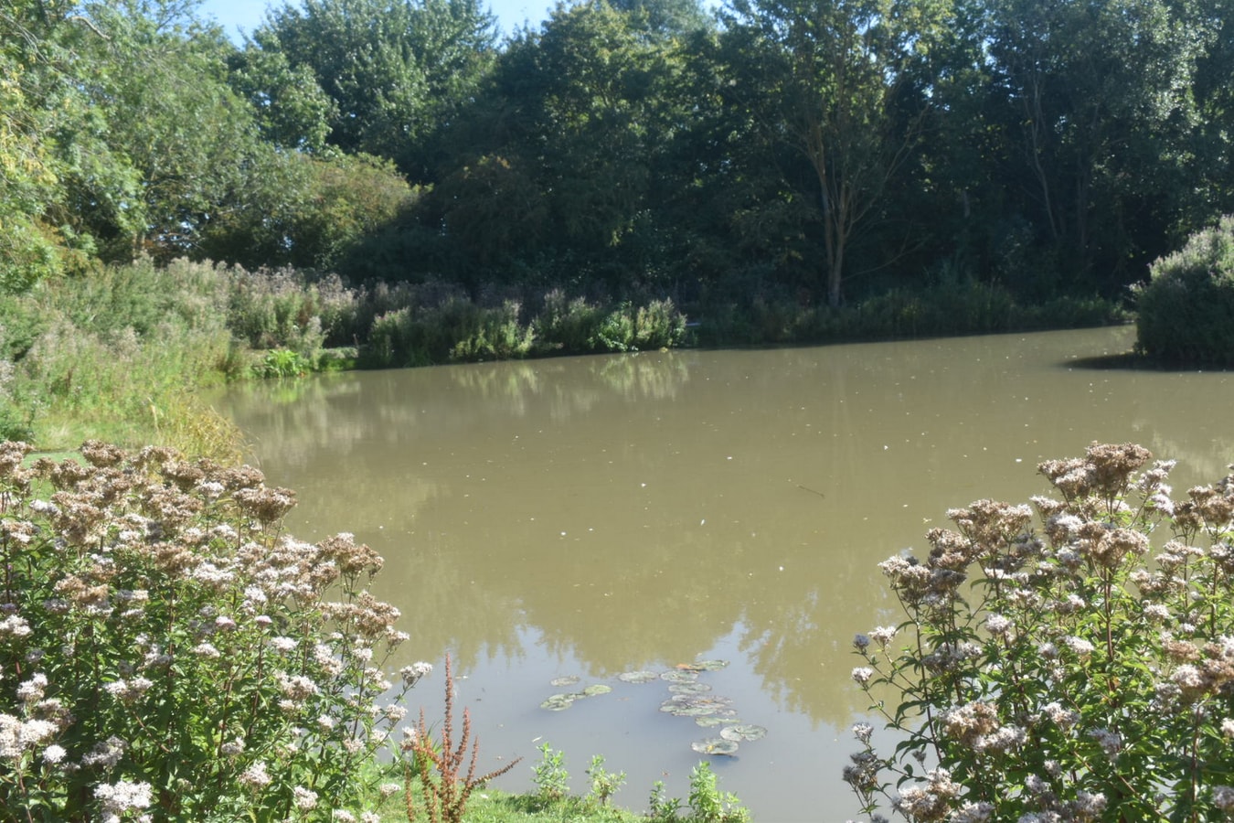 Wren Cottage, Howdales 15 Hello Guest