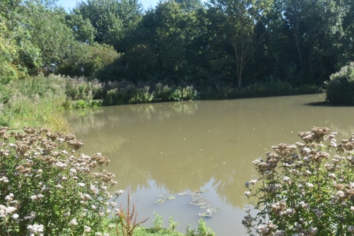 Wren Cottage, Howdales 15 Hello Guest