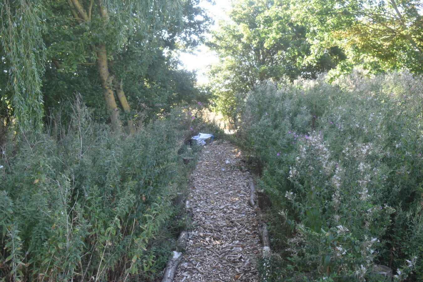 Wren Cottage, Howdales 21 Hello Guest