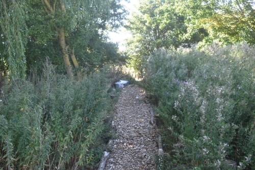 Wren Cottage, Howdales 21 Hello Guest