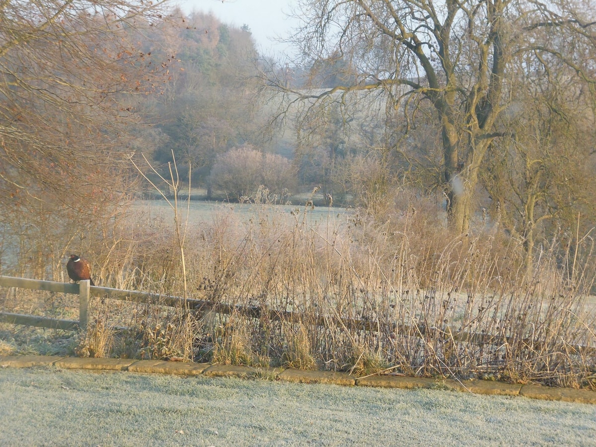 Wonderful Picturesque Countryside Cottage 13 Hello Guest